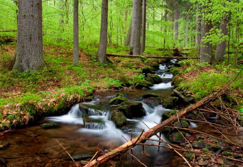 Okolí chaty Vitějovice